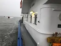 Đa mục đích để bán
