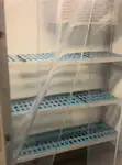 Tàu chở khách và hàng hóa để bán