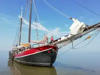 Tàu chở hàng rời để bán