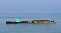 Tàu làm việc để bán