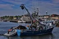 Tàu lưới vây để bán