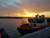 Tàu làm việc để bán