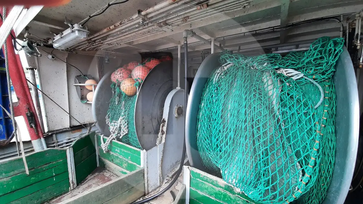 Tàu chở cá sống để bán