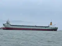 Tàu container rao bán