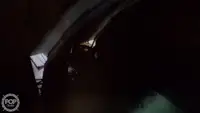 Tàu kéo lưới để bán