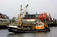 Trawler rao bán