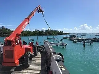 Tàu đổ bộ, chở hàng để bán