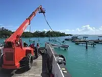 Tàu đổ bộ, chở hàng để bán