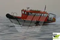 Thuyền phao cứng để bán