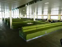 Tàu phà rao bán