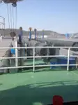 Tàu nạo vét để bán