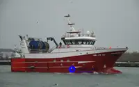 Tàu đánh bắt cá bằng lưới vây để bán