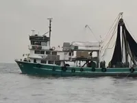 Tàu lưới vây để bán