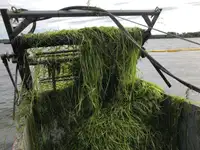 Tàu chở nước thải hầm để bán