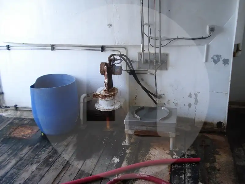 Tàu chở cá sống để bán