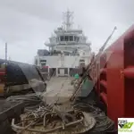 Tàu cung cấp để bán