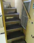 Tàu dẫn đường để bán