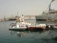 Tàu làm việc để bán