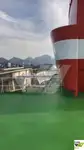 Tàu du lịch để bán