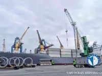 Tàu lạnh để bán