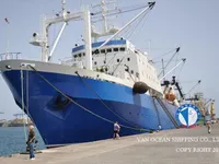 Tàu kéo lưới để bán