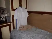 Tàu tuần tra để bán