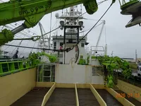 Tàu lưới vây để bán