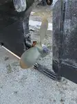 Tàu kéo để bán