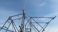 Tàu kéo lưới để bán