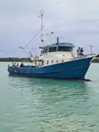 Tàu kéo lưới để bán