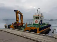 Đa mục đích rao bán