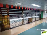 Tàu Ro-Ro để bán