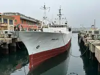 Tàu kéo lưới để bán