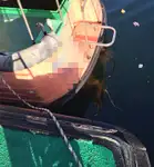 Tàu dẫn đường để bán