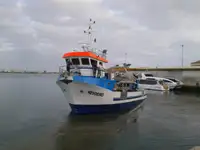 Tàu kéo để bán