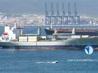 Tàu lạnh để bán