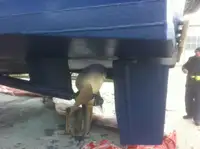 Tàu chở thủy thủ đoàn để bán
