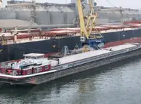 Tàu chở hàng rời để bán