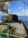 Purse seiner rao bán