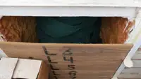 Tàu kéo lưới để bán