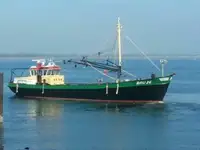 Tàu kéo lưới để bán