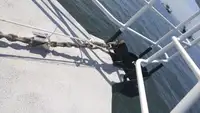 Tàu chở thủy thủ đoàn để bán