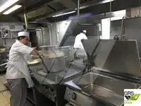 Tàu du lịch để bán