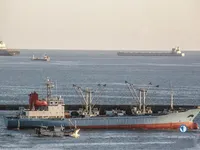 Tàu lạnh để bán