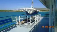 Ro-Ro ship rao bán