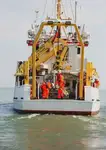 Tàu container để bán