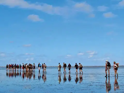 Sà lan để bán