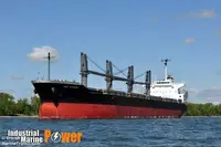 Tàu chở hàng rời để bán