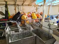 Tàu câu dài để bán