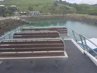 Tàu đánh cá để bán